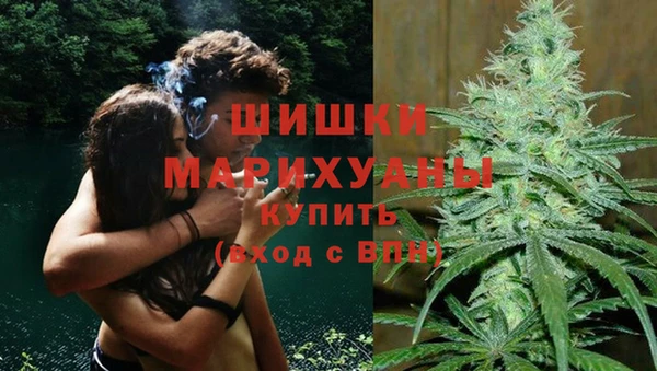 гидра Алзамай