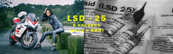 гидра Алзамай