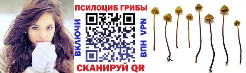 Псилоцибиновые грибы Magic Shrooms  Островной 